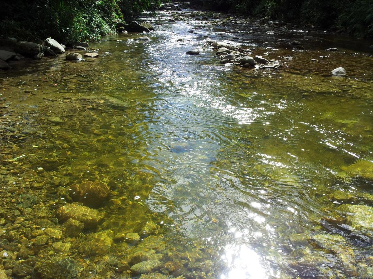 Pousada Rancho Texas Ubatuba Zewnętrze zdjęcie
